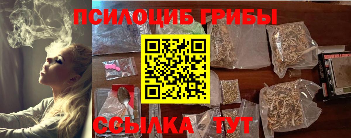 Псилоцибиновые грибы Psilocybine cubensis Заинск